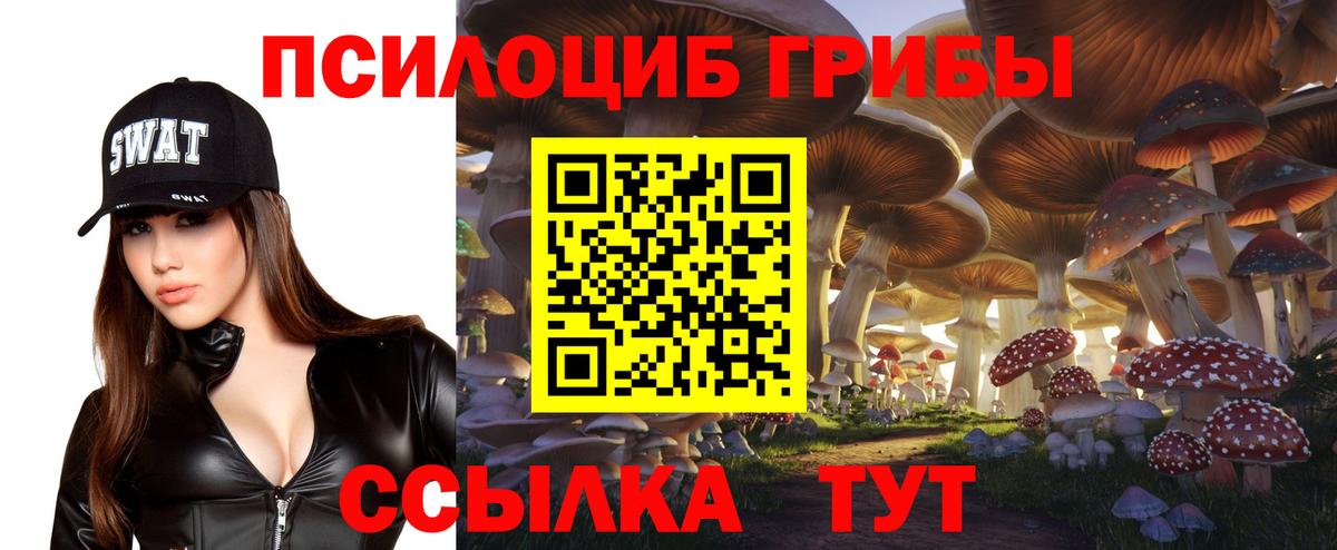 Галлюциногенные грибы Magic Shrooms  цена наркотик  Вход с VPN  Альметьевск  Галлюциногенные грибы Cubensis 